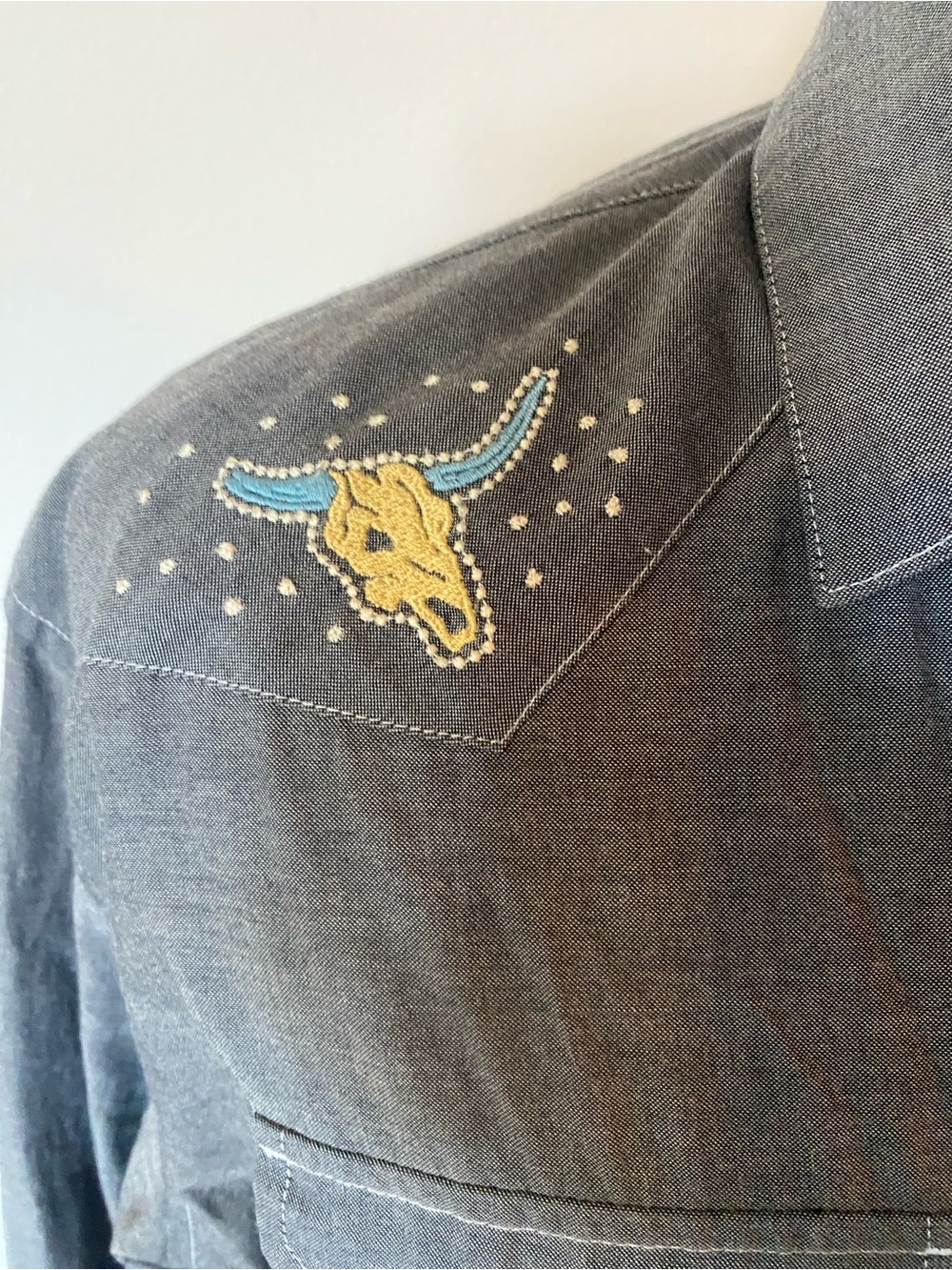 Rare Howler Brothers Gaucho Desert Paranormal UFO Snapshirt Men’s Large - Picture 3 of 9